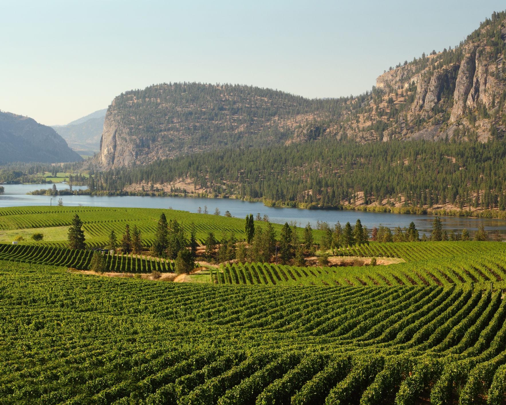 Okanagan Wine Tour