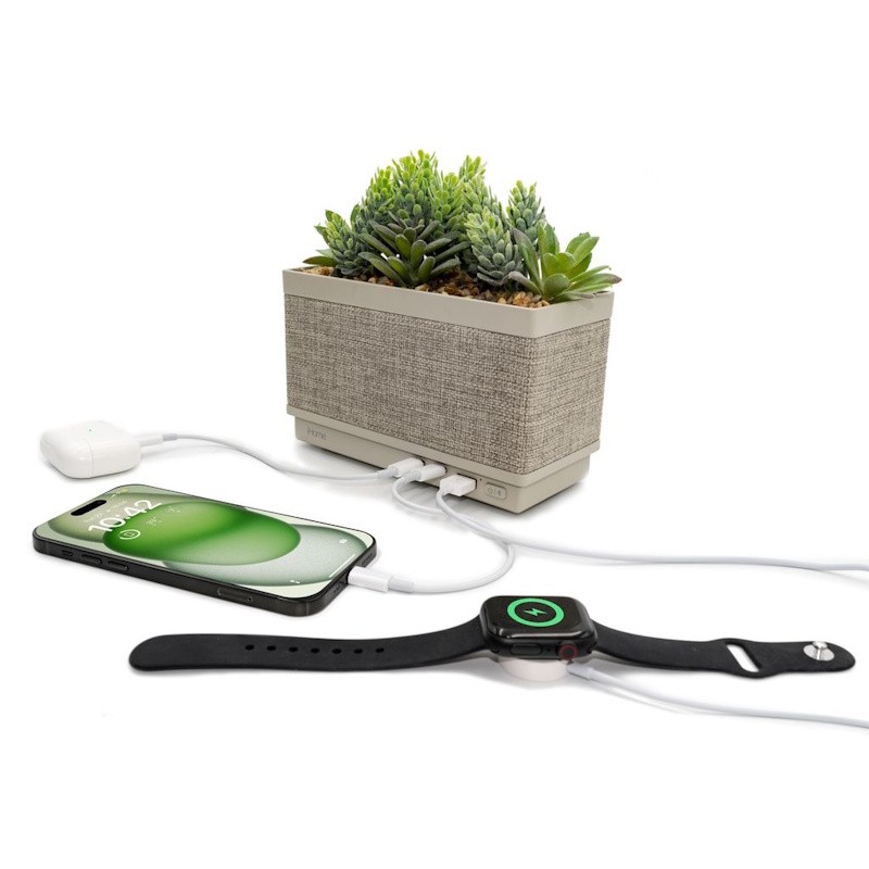 Power Plant Faux Succulent with Charging Station
