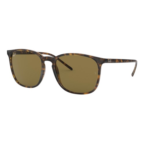 Ray-Ban RB4387 Sunglasses Tortoise/Brown Classic B-15, Size 56 frame Tortoise/Brown Classic B-15