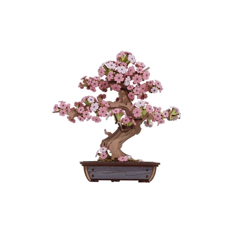 Sakura Bonsai Sakura Bonsai