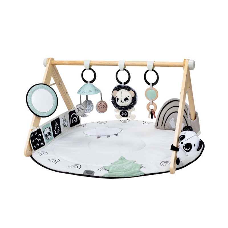 Black & White Luxe Developmental Gymini