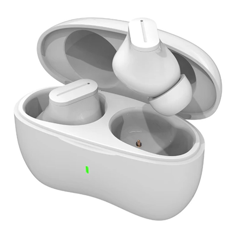 True Wireless Stereo Earbuds with Charging Case