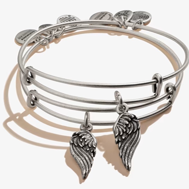 Wings Set of 2 Charm Bangle