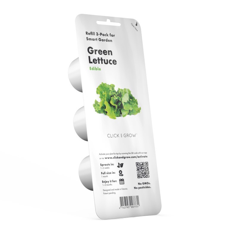 Green Lettuce Plant Pods 3 Pack.