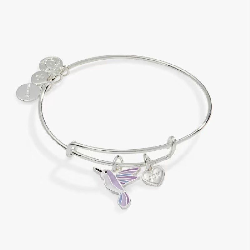 Joy Hummingbird Duo Charm Bangle