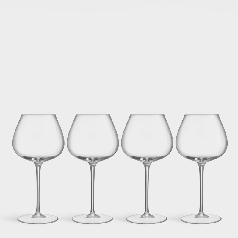 Aroma Copa Gin & Tonic Set of 4